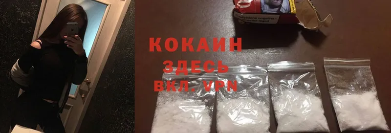 Cocaine Боливия  как найти   Бородино 